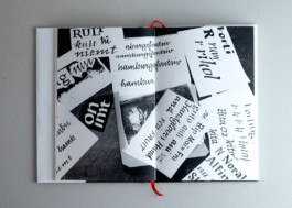 Franziska Weitgruber
—Type and Graphic Design