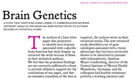 Franziska Weitgruber
—Type and Graphic Design