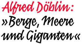 Franziska Weitgruber
—Type and Graphic Design