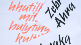 Franziska Weitgruber
—Type and Graphic Design
